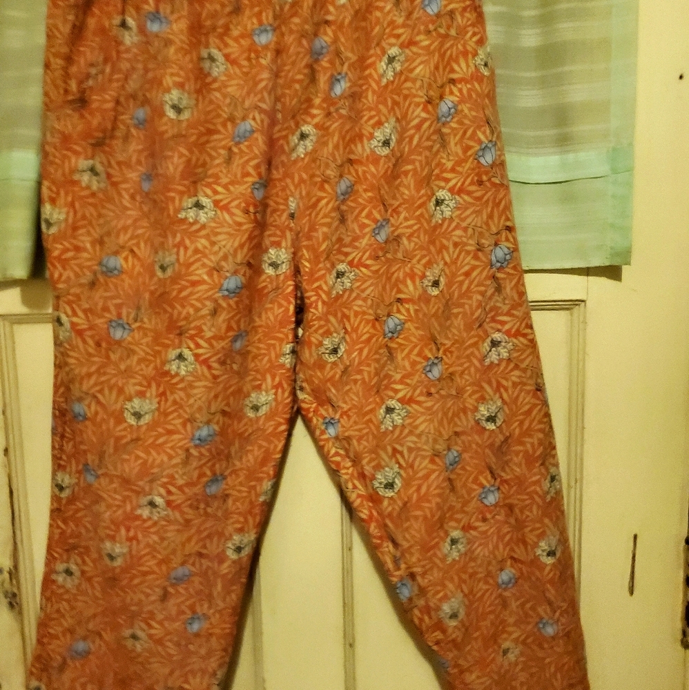 FLAX 2002 De Soleil floods M